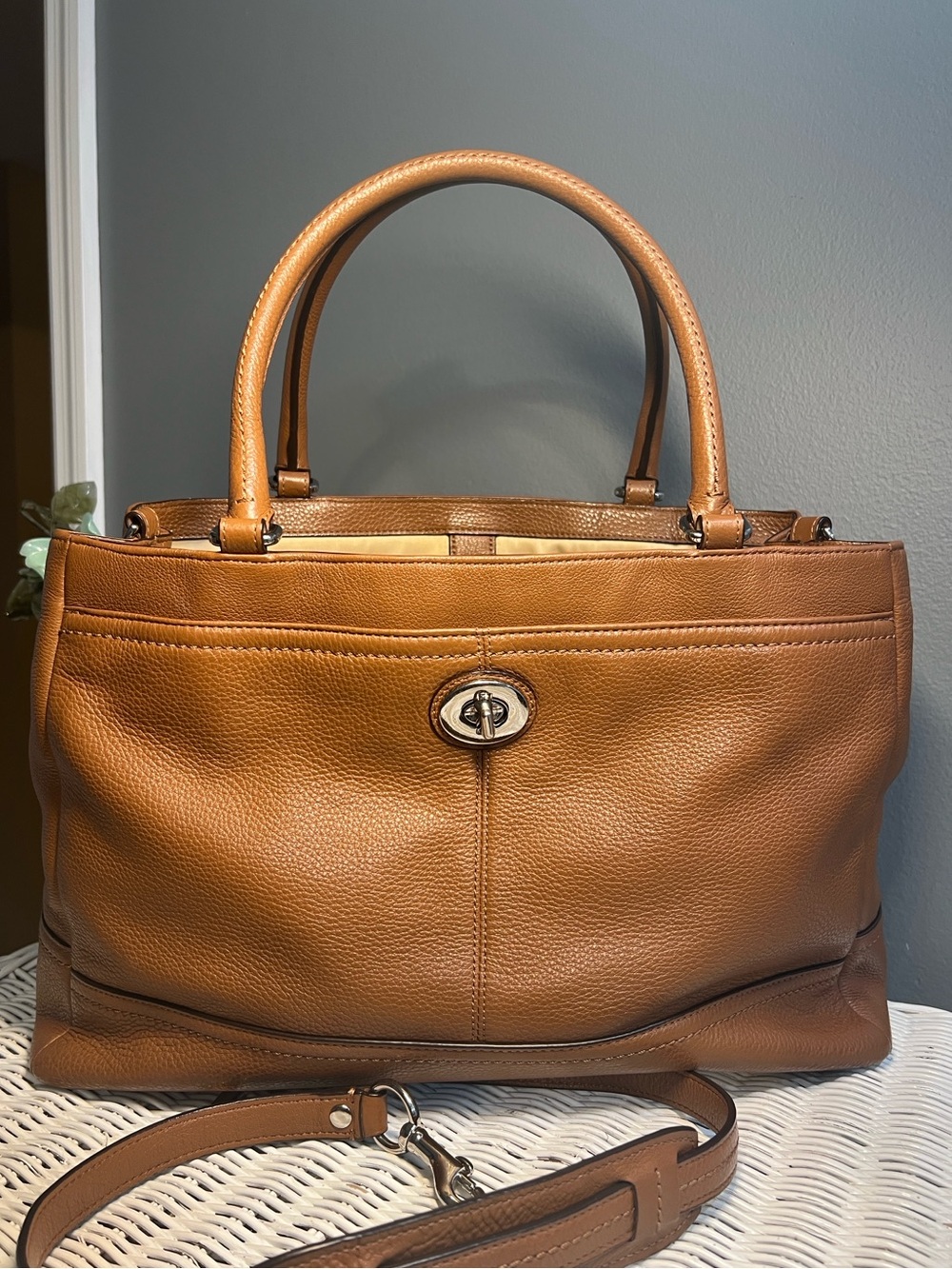 Coach Park Carryall Bag - Picture 4 of 16